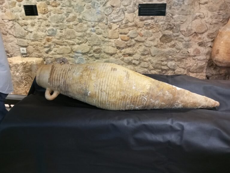 Cambrils exposa una àmfora del segle IV aC descoberta pels pescadors Lluís i Pere Miquel Rebull imagen 1642