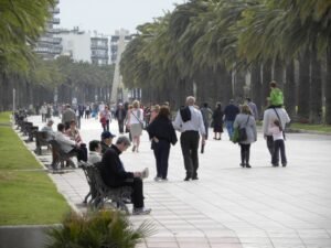 imagen 1660