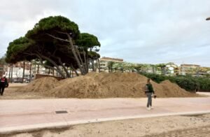 El pesebre de arena de La Pineda celebrará sus 25 años con conciertos y gastronomía y será más grande imagen 1616