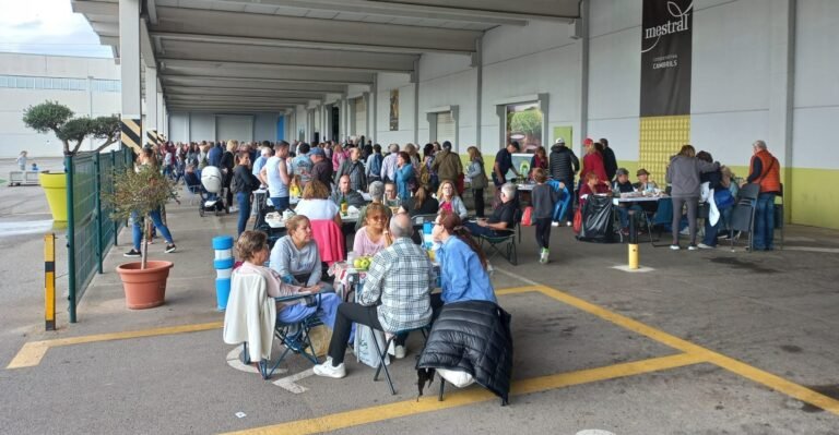 Una Festa de l’Oli Nou solidària a Cambrils imagen 1690