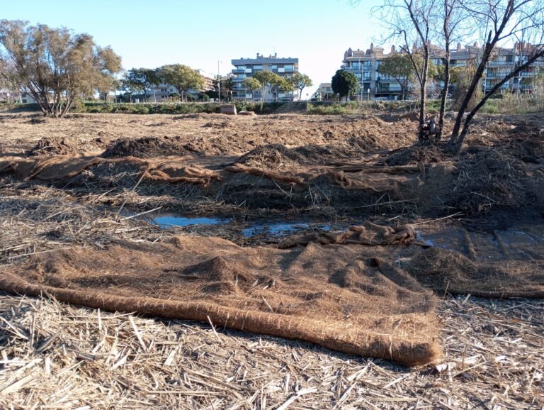 Cambrils instala una lona biodegradable contra las cañas invasoras imagen 1504