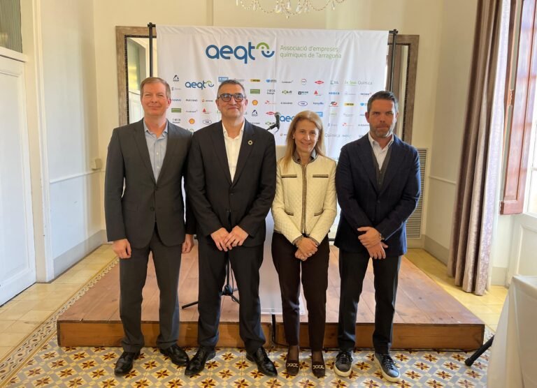 La industria química de Tarragona reclama el triple de energía para descarbonizarse imagen 1497