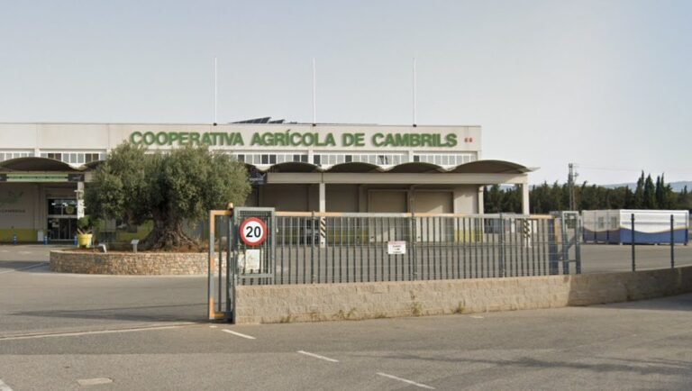 La Cooperativa Agraria de Cambrils cancela su deuda hipotecaria de 13 millones de euros imagen 1508