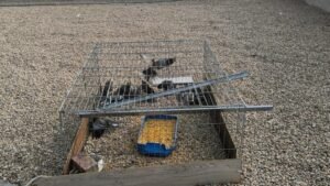 Una ONG exige la retirada de jaulas trampa para capturar palomas en Cambrils imagen 1491