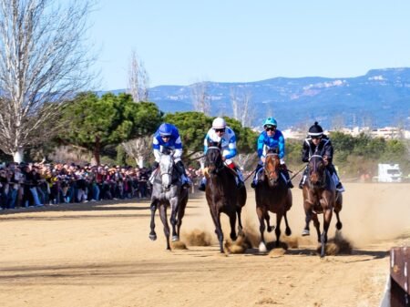 El Cós de Sant Antoni aplega més de 10.000 persones a Vila-seca imagen 1374