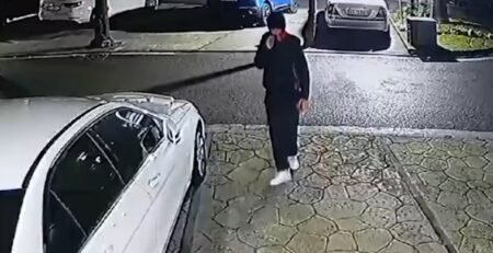 Detenido un joven en La Pineda por robar en 13 coches aparcados imagen 1353