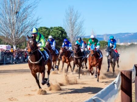 Vila-seca ja està a punt per a la festa major de Sant Antoni imagen 1402