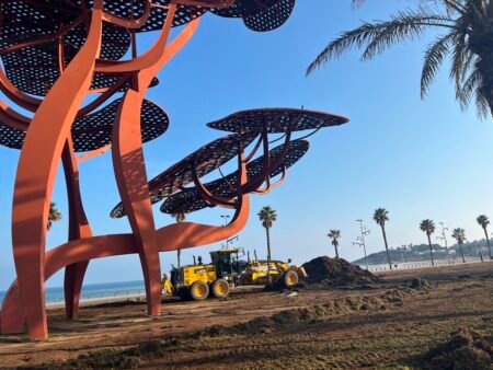 El paseo de La Pineda se convertirá en un sistema de dunas imagen 1234