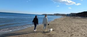 La playa de La Pineda dispondrá de una zona de baño para perros imagen 1024