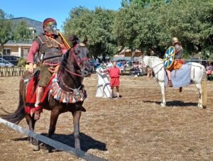 Cambrils redescobrirà el seu passat romà imagen 914