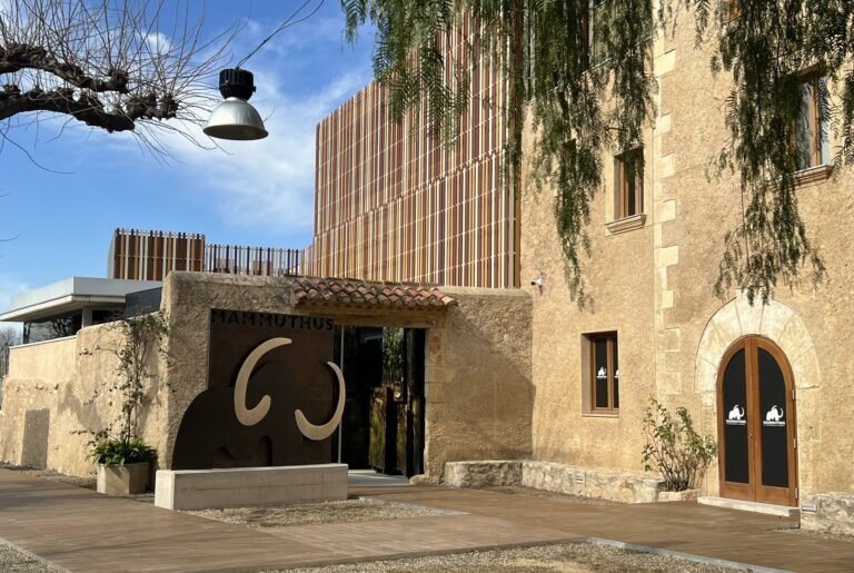 L’Espai Mammuthus de la Canonja ja és una realitat imagen 589