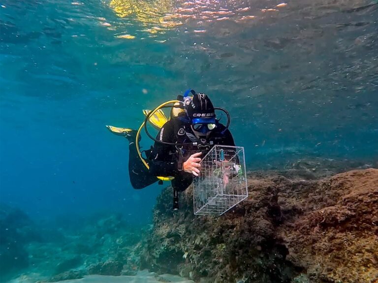 Cinco propuestas para disfrutar del mar y la naturaleza en la Costa Daurada y Terres de l’Ebre imagen 505