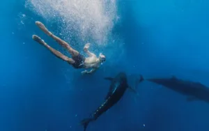 12+1 propuestas de Nàutic Parc para disfrutar del mar y la naturaleza en la Costa Daurada y Terres de l’Ebre Una de las propuestas de Nàutic Parc