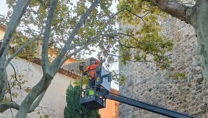Cambrils inicia la restauració urgent de la Torre de l’Ermita després de produir-se despreniments imagen 96