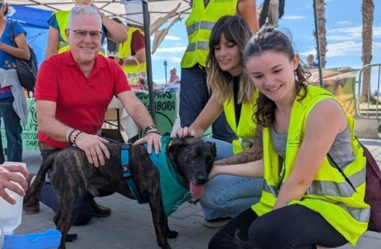 Las mascotas se divierten en Salou imagen 186