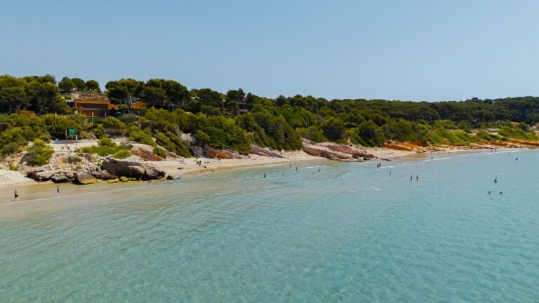 Mi maestro imagen 178