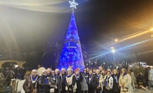 El árbol está en la plaza Bonet