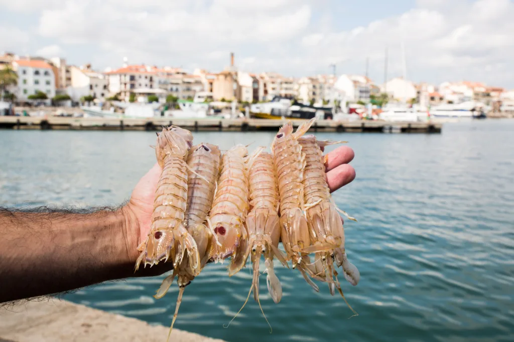 La principal novetat és el concurs de cuina creativa Cambrils Galera Challenge Repsol