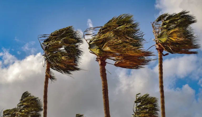 Protección Civil prevé fuertes rachas de viento