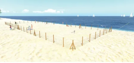 Imagen de cómo quedará el espacio para perros en la playa de La Pineda