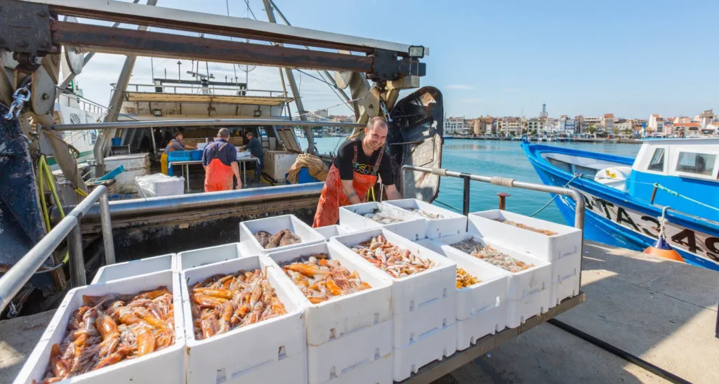 Els pescadors de Cambrils potencien el peix de llotja Un pescador, en la Confraria de Cambrils. FOTO: Cambrils Turisme