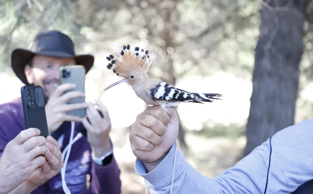 Cap Salou se convertirá en un laboratorio natural para descubrir su biodiversidad Una edición anterior de BioBlitz