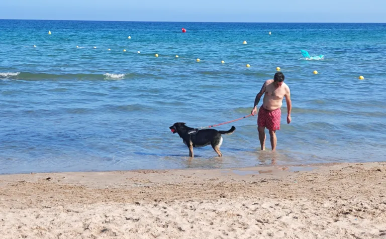 La Pineda ha estrenado playa para perros este verano