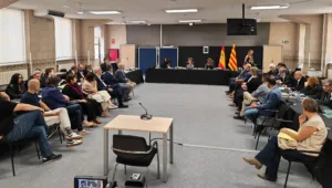 Pere Valls nega al judici d’Inipro que els ciberactivistes rendissin comptes al cap de gabinet o a la portaveu municipal Una sessió del judici d'Inipro