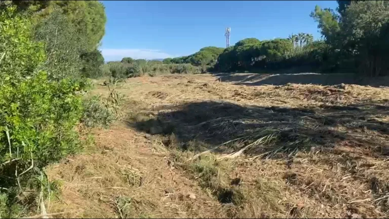 Cambrils inicia la primera fase de la neteja del tram final de la riera de Maspujols Riera de Maspujols de Cambrils